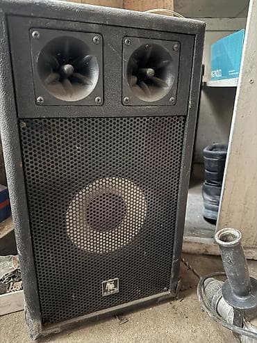 jbl flip 4: Колонка с усилителем 2шт, для проверки у меня нечего нету! Динамик — 1
