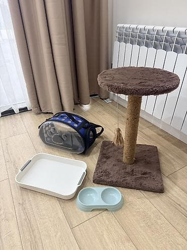 котенки: Набор для кошки/котёнка(б/у) В комплект входит: - Когтеточка-столб с — 9
