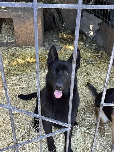 с мыкан: ВЯЗКА! Не продажа. Всем доброго времени суток друзья, предоставляю к — 4