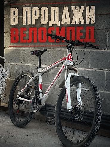 beta fpv: Горный велосипед (MTB) Pioneer Dakar. - Материал рамы: Сталь. - — 1
