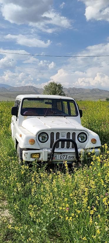 Унаа: УАЗ 3151: 2004 г., 2.4 л, Бензин, Жол тандабас — 3