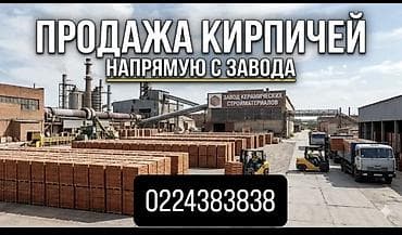 кирпич жжонный: Пустотелый, дырчатый, Жженый кирпич, Полублок, 250×120×85 — 1