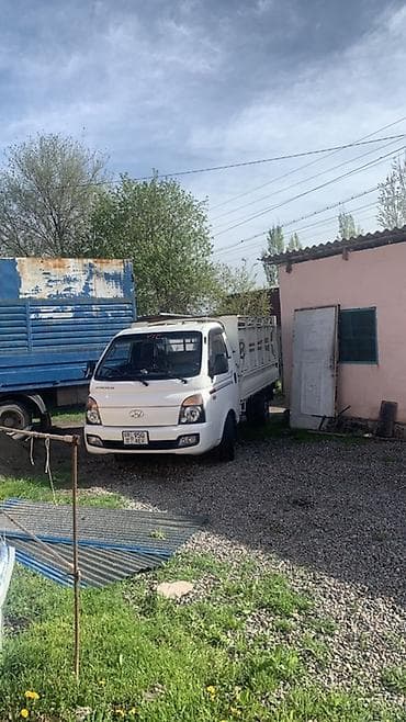 neta u pro машина: Легкий грузовик, Hyundai, Стандарт — 2