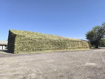 Грызуны: Сено люцерны в тюках - 3-й укос: мягкое и питательное - Сухое и — 7