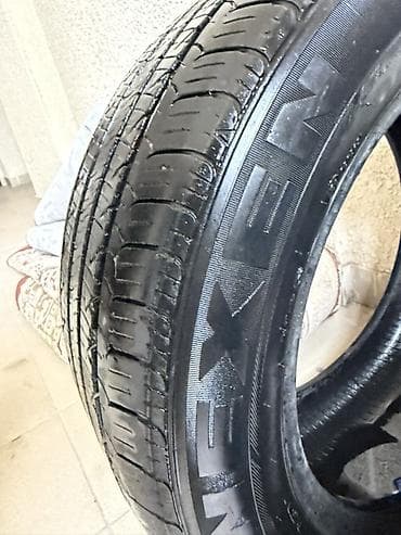 катушка нексия: Шины 225 / 55 / R 16, Лето, Б/у, Пара, Легковые, Nexen — 4