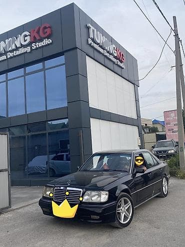 электромобиль byd e5 цена в бишкеке: Mercedes-Benz W124: 1995 г., 5 л, Седан — 2