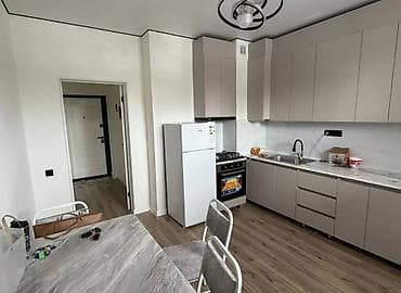 4: 2 комнаты, 44 м², Индивидуалка, 4 этаж, Евроремонт — 3
