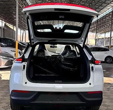 2025: Dongfeng : 2025 г., Электромобиль — 5