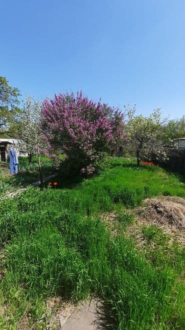 продаю дом аламединский рынок: Дом, 65 м², 4 комнаты, Риэлтор, Старый ремонт — 6