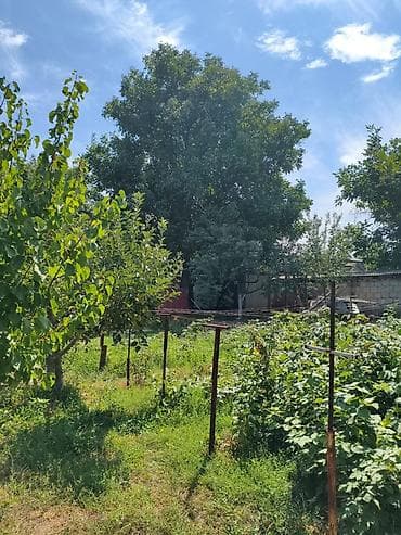 кой таш дом: Продается дом в селе Беш кунгей 80кв.м. с удобствами. Участок 9.5 — 2