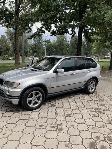 Транспорт: BMW X5: 2003 г., 4.4 л, Автомат, Бензин, Кроссовер — 5