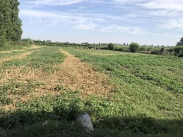 дом из бетона: Продаётся дом с земельным участком, 25 ст Джаны Пахте ат-башинская 54 — 9