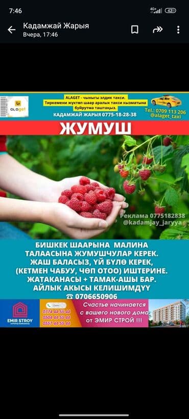 фреза почва: Сборщики урожая — 1