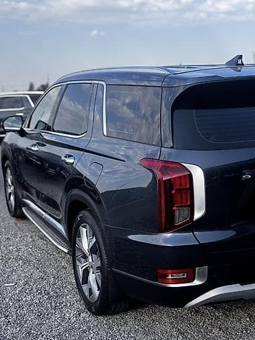 малолитражка машина: Hyundai Palisade: 2020 г., Кроссовер — 3