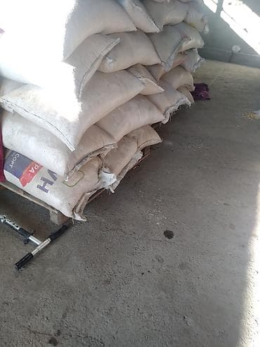 Баштыктар: Кап — 2