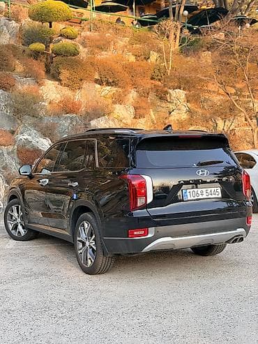 tsunami 100: Hyundai Palisade: 2019 г., 2.2 л, Автомат, Дизель, Кроссовер — 7