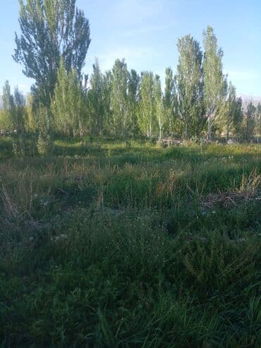 уборка садового участка: СРОЧНО ПРОДАЮ участок 1,5гаили меняю на квартиру в Бишкеке. Участок — 5