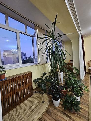 асанбай в рассрочку: 5 и более комнат, 221 м², Индивидуалка, 5 этаж, Евроремонт — 5