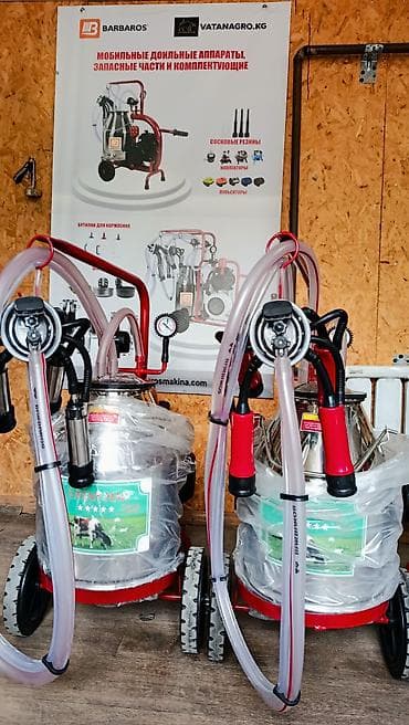 С/х животные и товары: Доильный. даильные. дойный. дойка.доильный аппарат На одну и на — 6