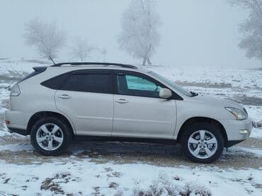 Lexus RX: 2005 г., 3.3 л, Кроссовер — 5