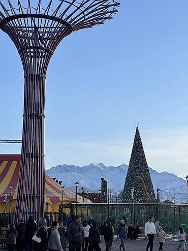 сдаётся комната с подселением: 1 комната, С подселением — 1