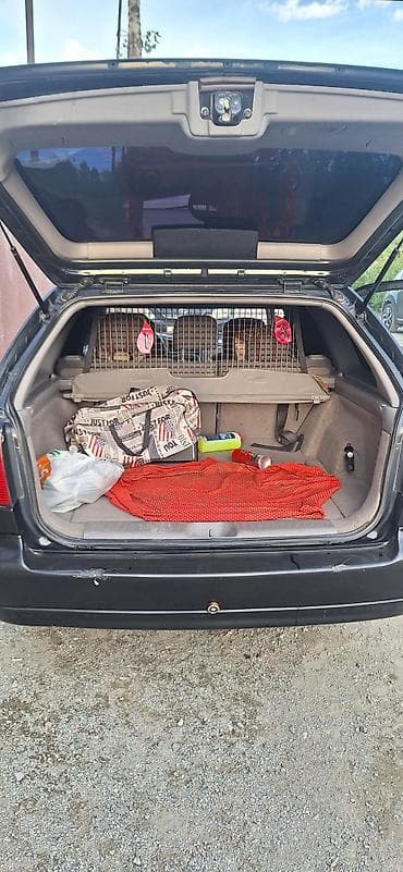 su 7: Nissan Primera: 2001 г., 2 л, Ручные, Бензин, Универсал — 9