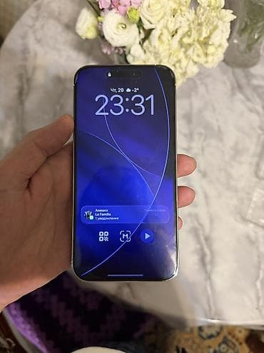 IPhone 14 Pro Max, Б/у, 256 ГБ, Серебристый, Защитное стекло, Кабель, Коробка, 87 %