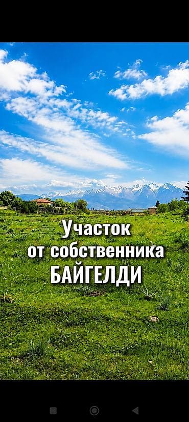 4 соток, Курулуш, Кызыл китеп — 1