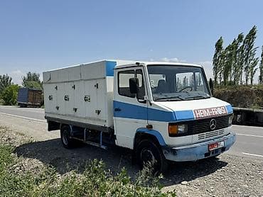 bad e2: Легкий грузовик, Mercedes-Benz, Стандарт — 5