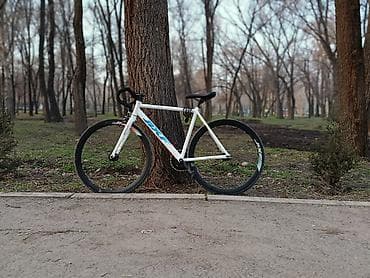 електро велоспед: Шоссейный велосипед, Рама L (172 - 185 см) — 3