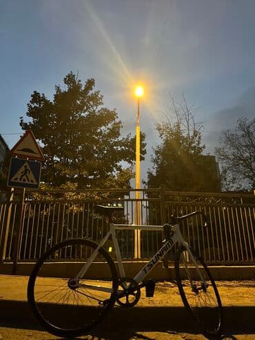 купить фикс в бишкеке: Городской велосипед, Tsunami, Рама L (172 - 185 см), Б/у — 1