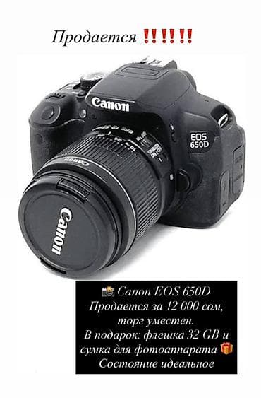 e96a hoco: Фотоаппарат Canon EOS 650D с комплектным объективом. - Тип — 1