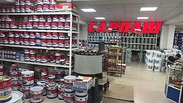 краска на авто: Краски и покрытия NATIONAL PAINTS Профессиональная линейка — 6