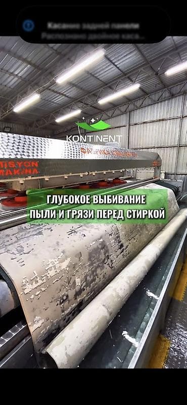 дезинфекция клопов: Стирка ковров, | Палас, Ковер, Бесплатная доставка — 8