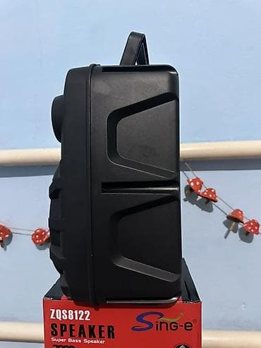 Аудиотехника: Портативная акустическая система Sing-e ZQS8122 - Диффузор 8" - — 4