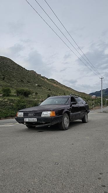 crown 171: Audi 100: 1991 г., Механика, Универсал — 2