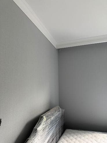 Курулуш жана оңдоо кызматтары: Эски тушкагаздарды сыйруу 6 жылдан ашык тажрыйба — 6