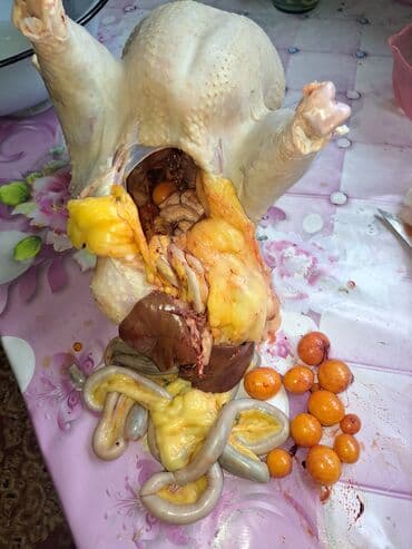 стол стул для кухни бишкек: Индюк :, 10 кг — 3