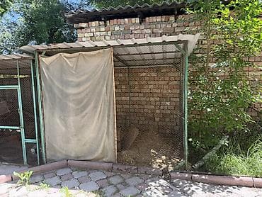 бетоный столб: Срочно !!! Продаётся уличный вольер ( 5 штук ) размер 1,50 х250 — 2