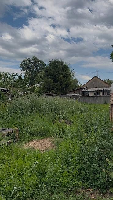 Жер тилкелери: 5 соток — 5