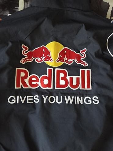 50 размер мужской одежды параметры: Куртка Red Bull Racing Infiniti ( Формулы‑1) - Темно‑синяя гоночная — 7