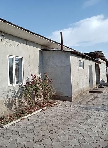 Дом с участком и хозпостройками - Одноэтажный жилой дом из