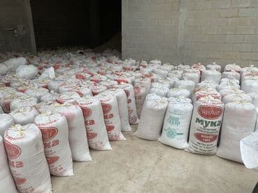 рэгдолл цена: Отруби отруби Отруб отруб Улпак улпак Улпаг улпак Кепек Кебек Кевек — 8