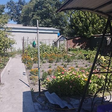 ежемалину: Продается дом с участком и баней, село пригородное Пригородное — 8