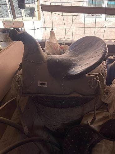 отель для собак: Седло для верховой езды ээр токун сатылат — 1