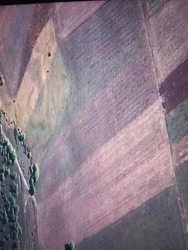 45 соток, Для сельского хозяйства at lalafo.kg 45 соток, Для сельского хозяйства