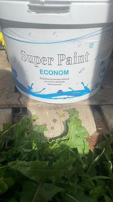 Үй жана бакча: Super Paint ECONOM - Водоэмульсионная краска для стен и потолков - — 1