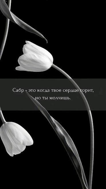 комнаты в бишкеке: Саламатсыздарбы Бош уйлор болсо карап жашайт элек Аябай кыйналып — 1