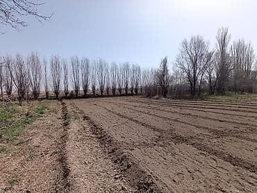 сдаю 1 комнату с подселением: 43 соток, Для сельского хозяйства — 5