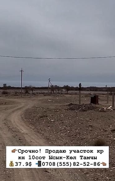 тынчтык ж м: 10 соток, Курулуш, Кызыл китеп — 5